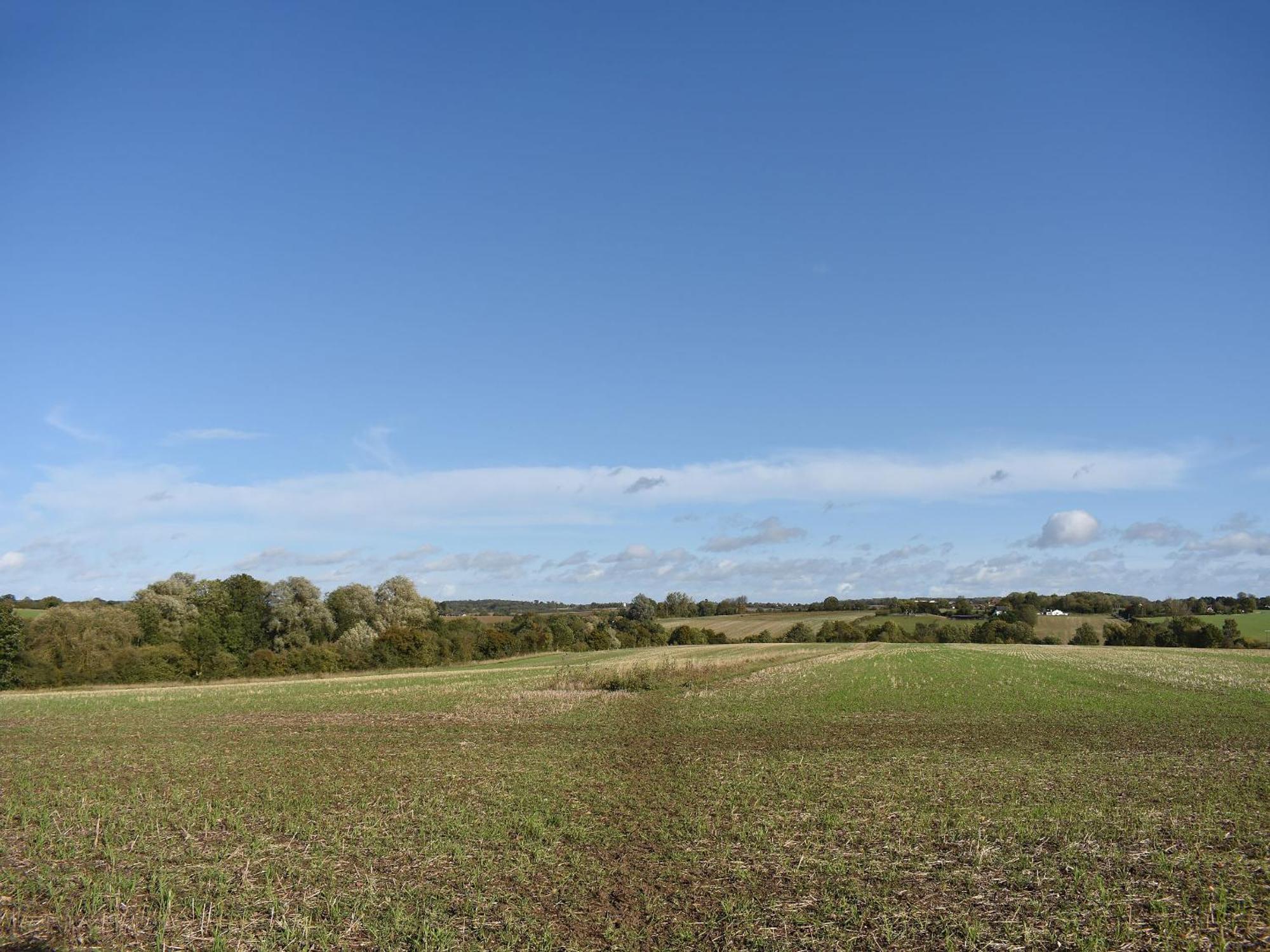 Vila Ivy Todd Barn Ashdon Exteriér fotografie